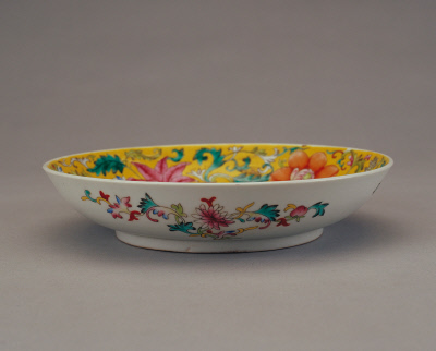 Disk flowers yellow to pastels