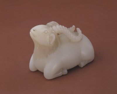 White lying sheep