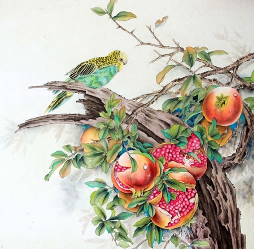 Pomegranate