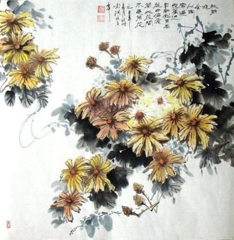 Chrysanthemum