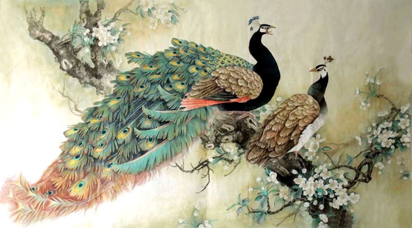 Peacock Peahen