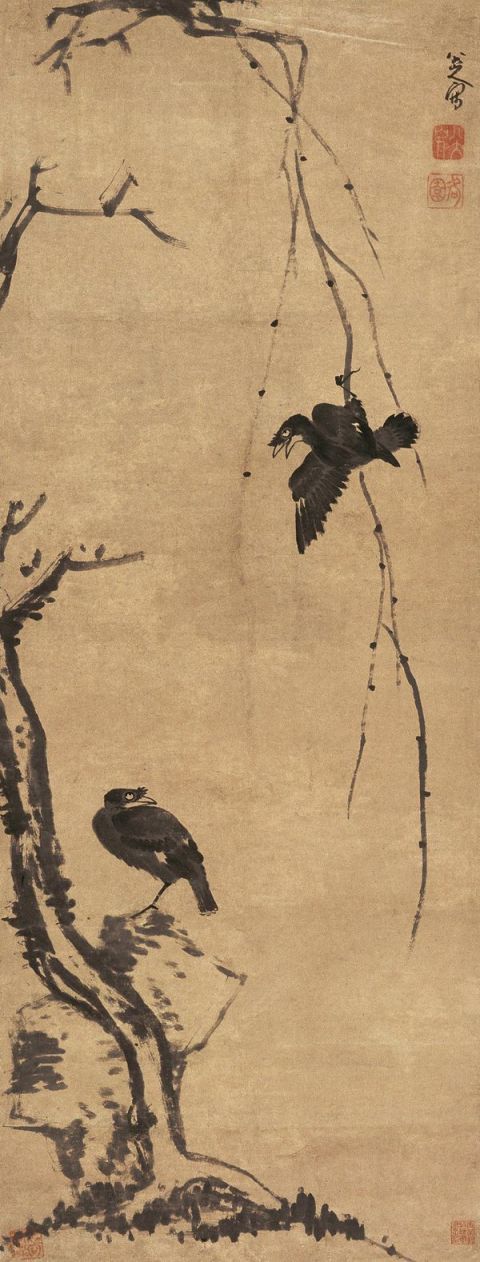  八大山人【柳条八哥图】图片-名家国画欣赏-清