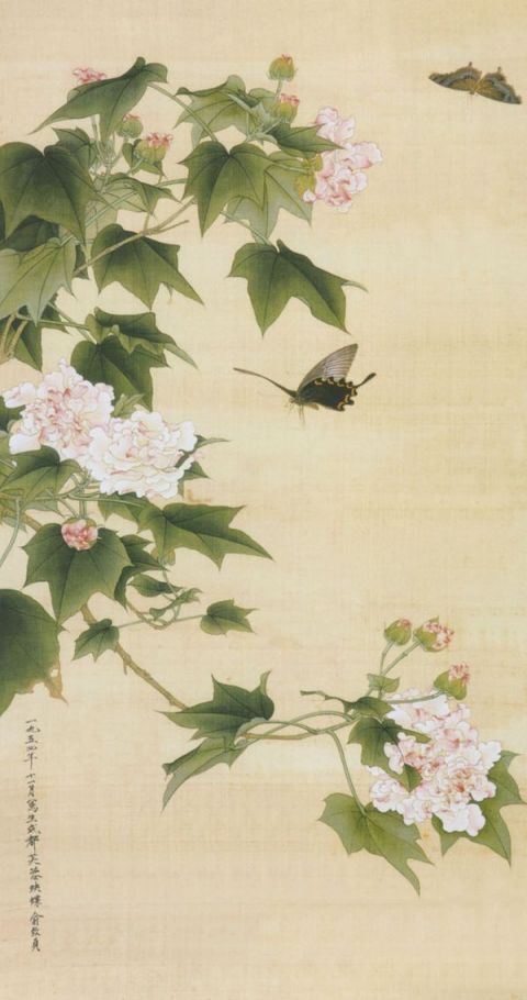 俞致贞《芙蓉蛱蝶》图片_名家国画作品欣赏-近代