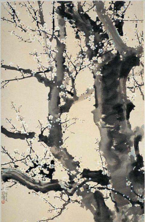  徐悲鸿《白梅》图片_名家国画作品欣赏-近代