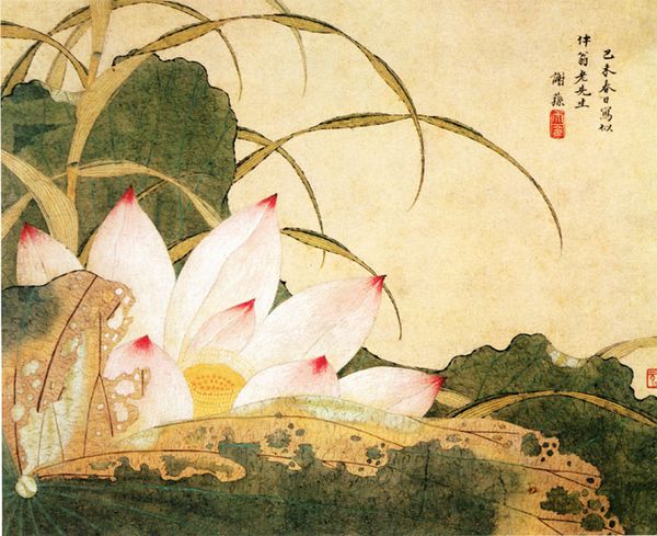 谢荪《荷花图》图片_谢荪国画作品欣赏-清